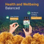 sea-moss-3