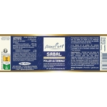 saw-palmetto-2