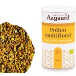 pollen-de-fleurs