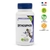 orthosiphon-1orth-150x69-pullulan