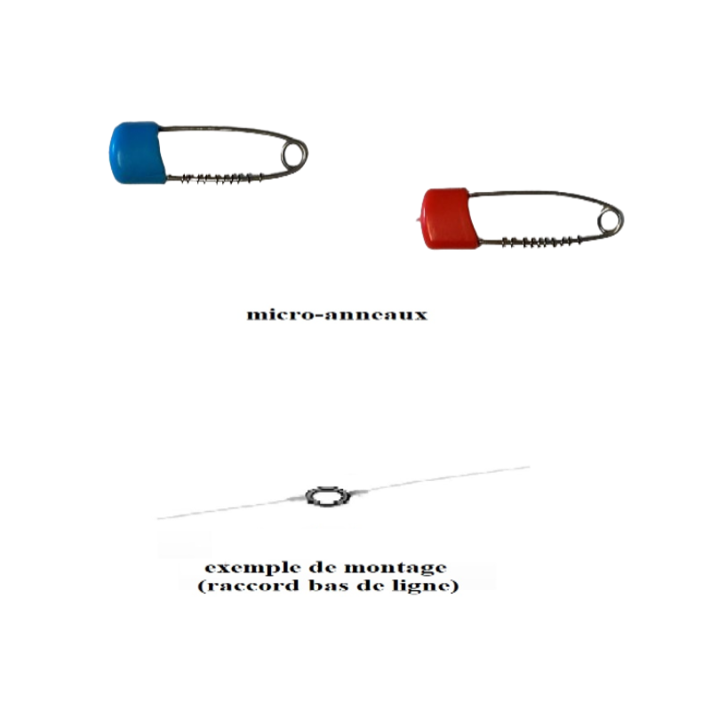 micro-anneaux