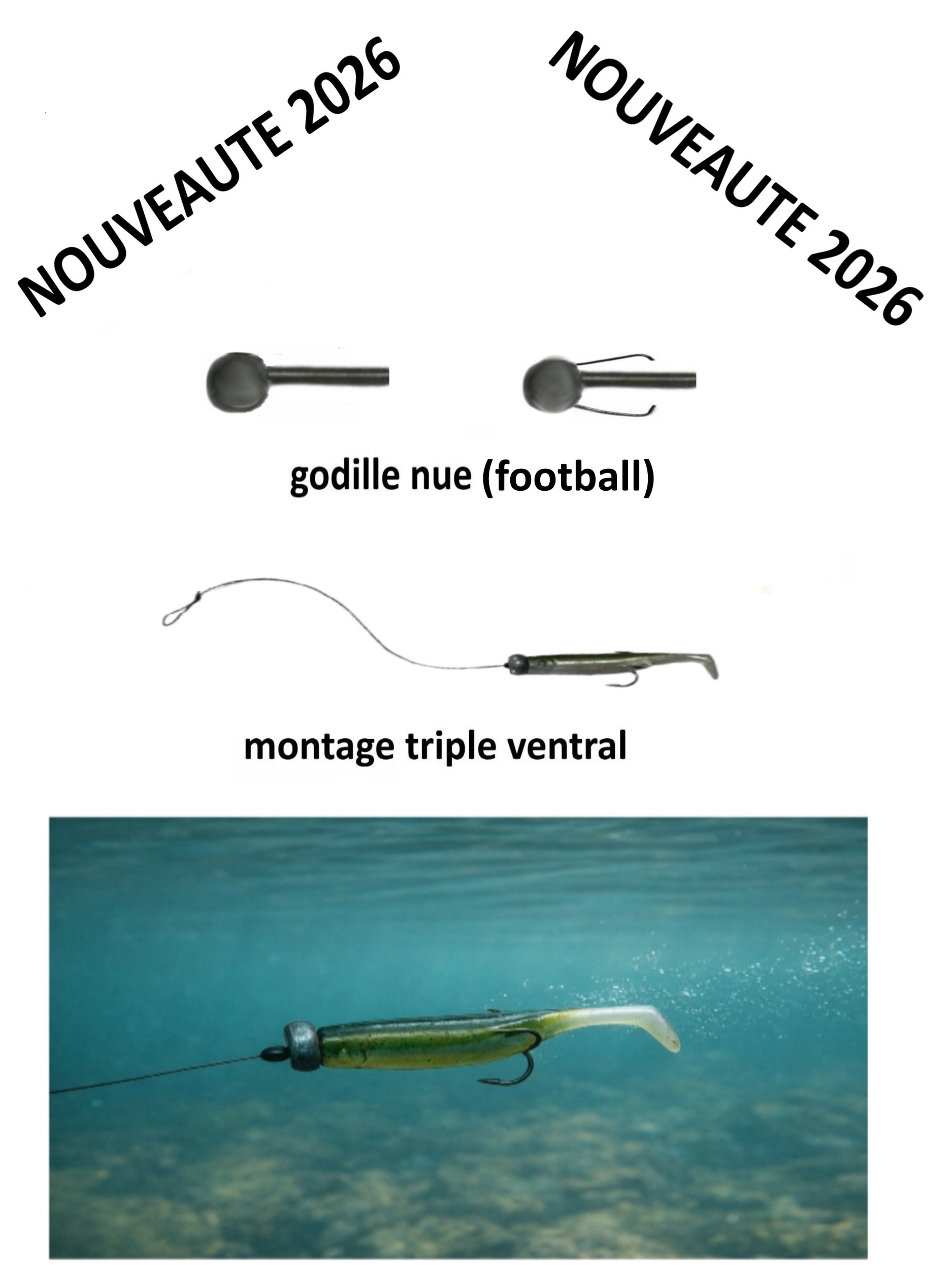 godille à tressort 2026 -fiche 643