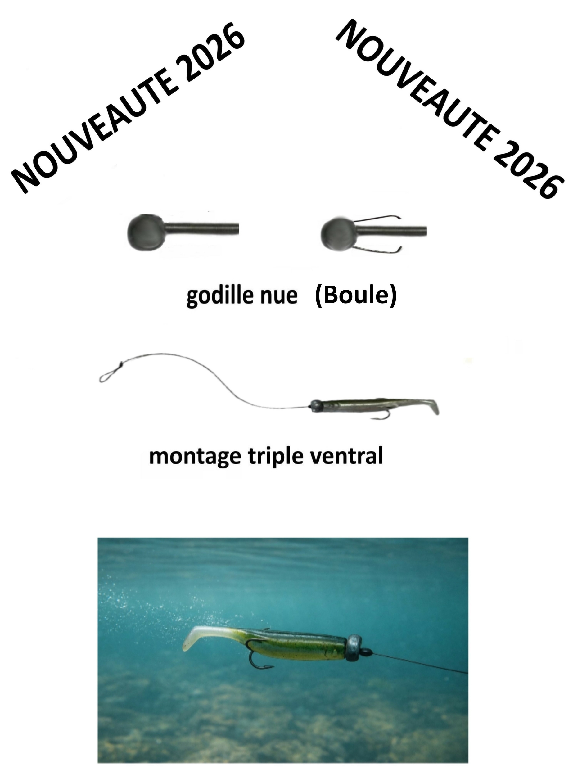 godille à ressortfiche 642