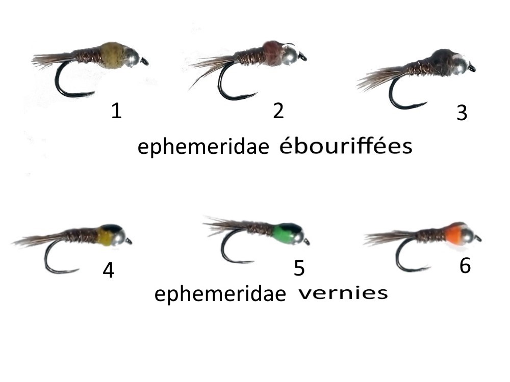 pheasant tail cédric ter
