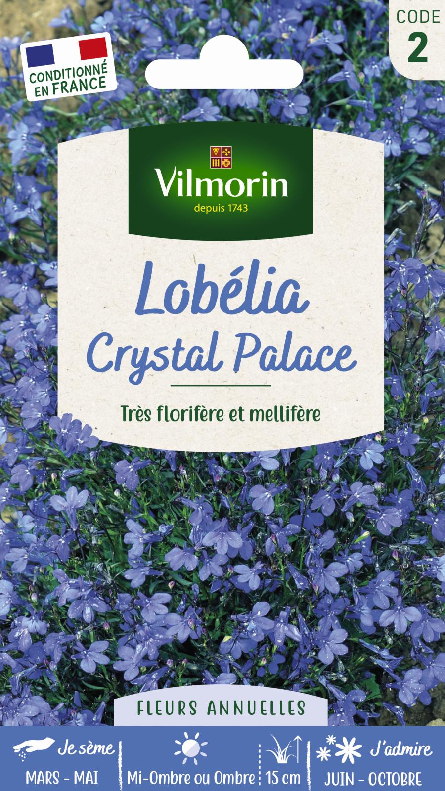 Lobélia Crystal Palace - 0.3gr