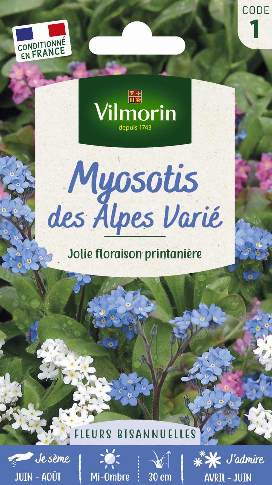Myosotis des Alpes Varié - O,7gr