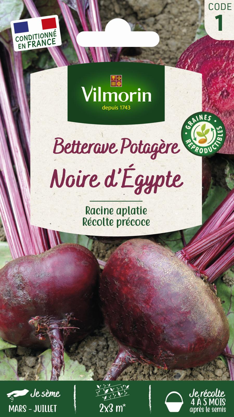 Betterave Potagère Noire Plate d\'Egypte - 4gr