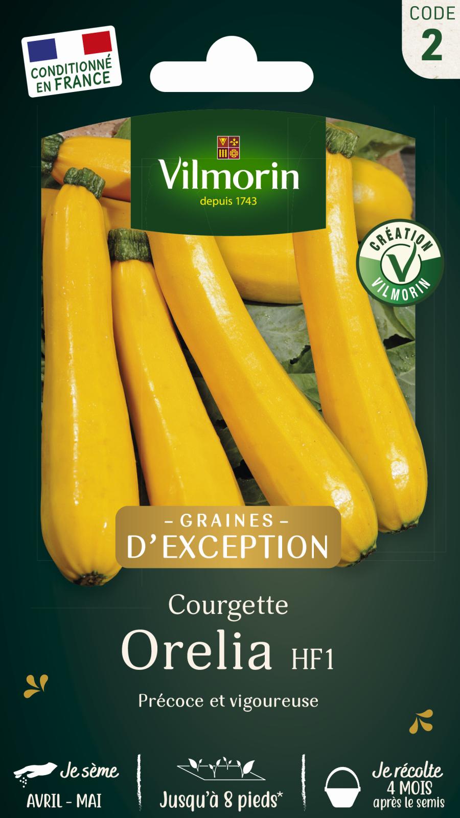 Courgette Orélia - Graines d\'Exception - 2gr