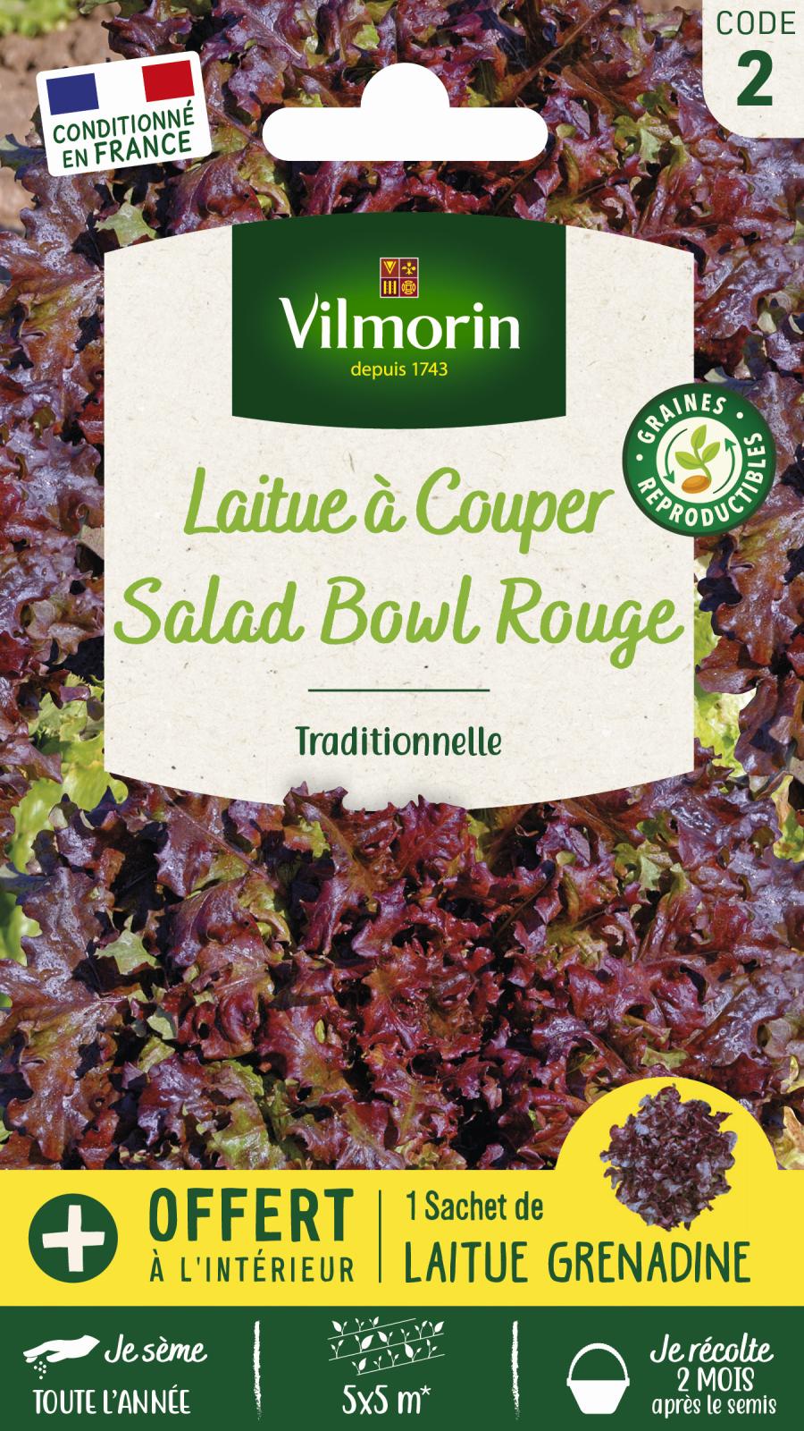 Laitue à Couper Red Salad Bowl - 4gr + Echantillon Grenadine