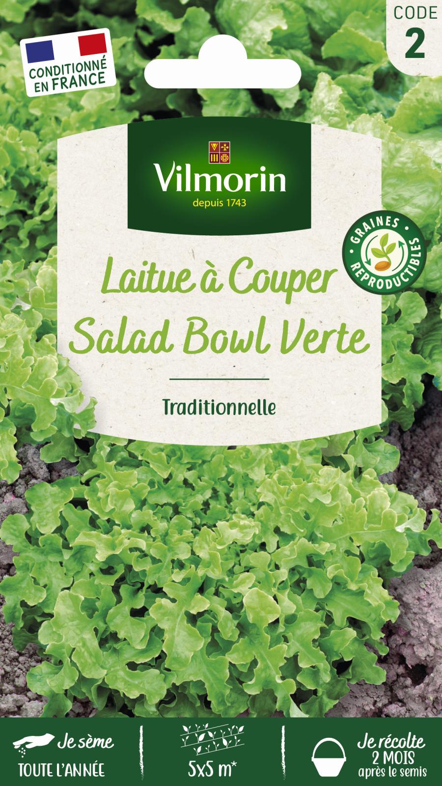 Laitue à couper Salad Bowl verte - 4gr