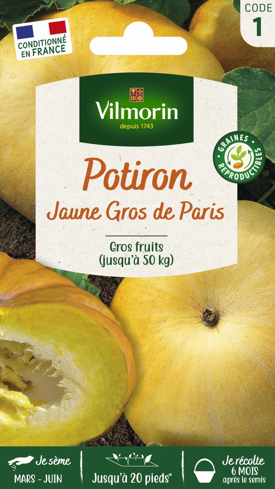 Potiron Jaune Gros de Paris - 6gr