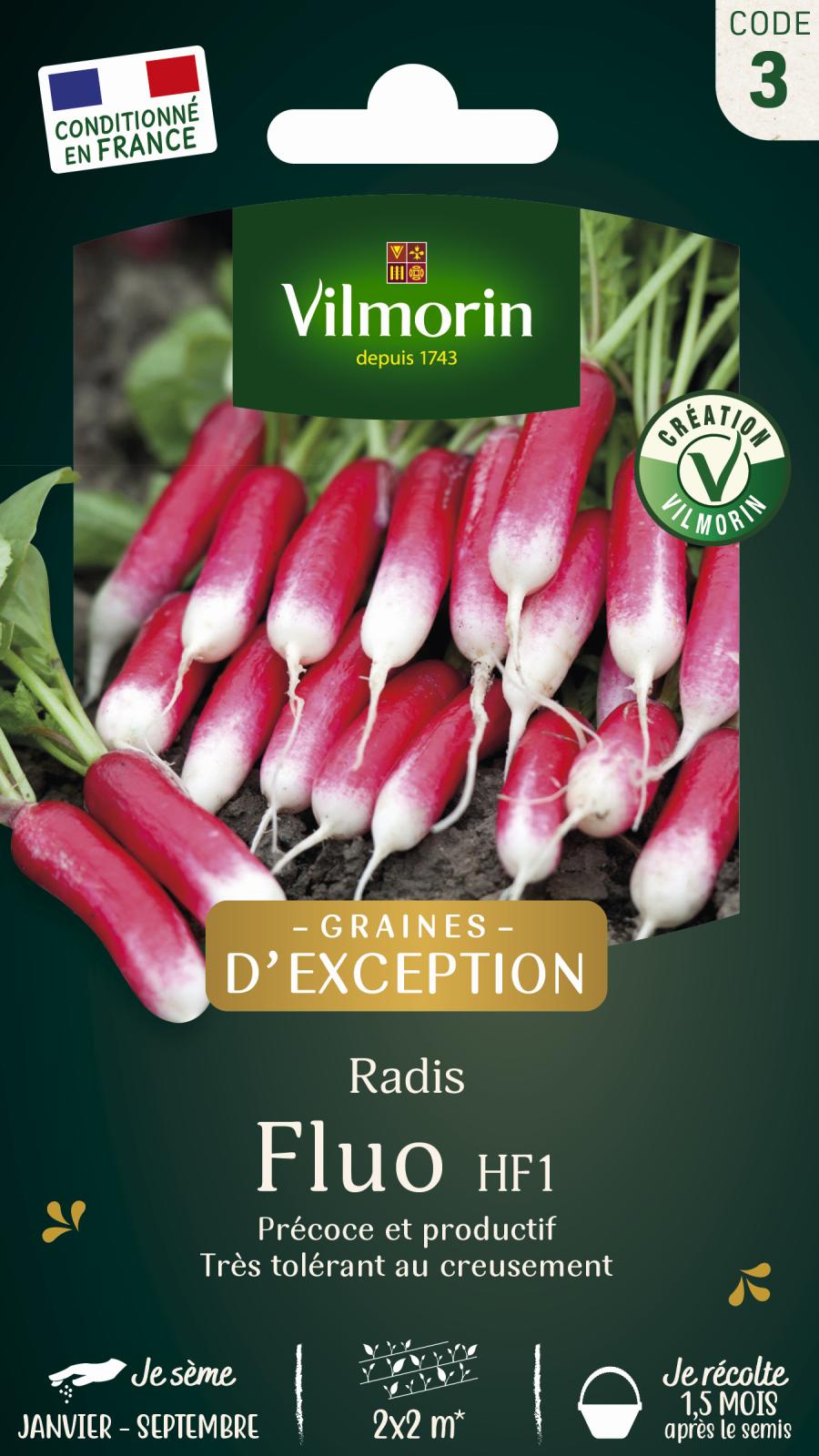 Radis Fluo - Graines d\'Exception - 6gr