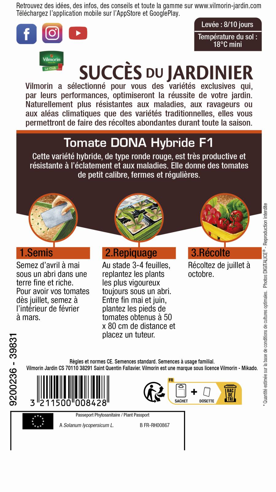 dona 2