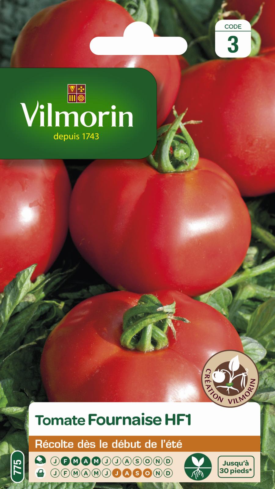 Tomate Fournaise - 1gr