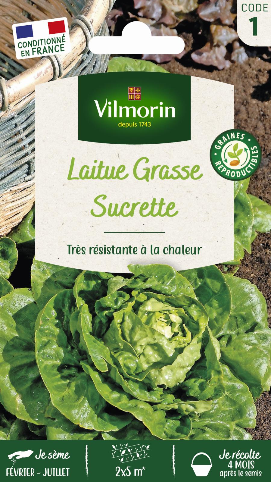 Laitue Sucrette - Type Sucrine - 4gr