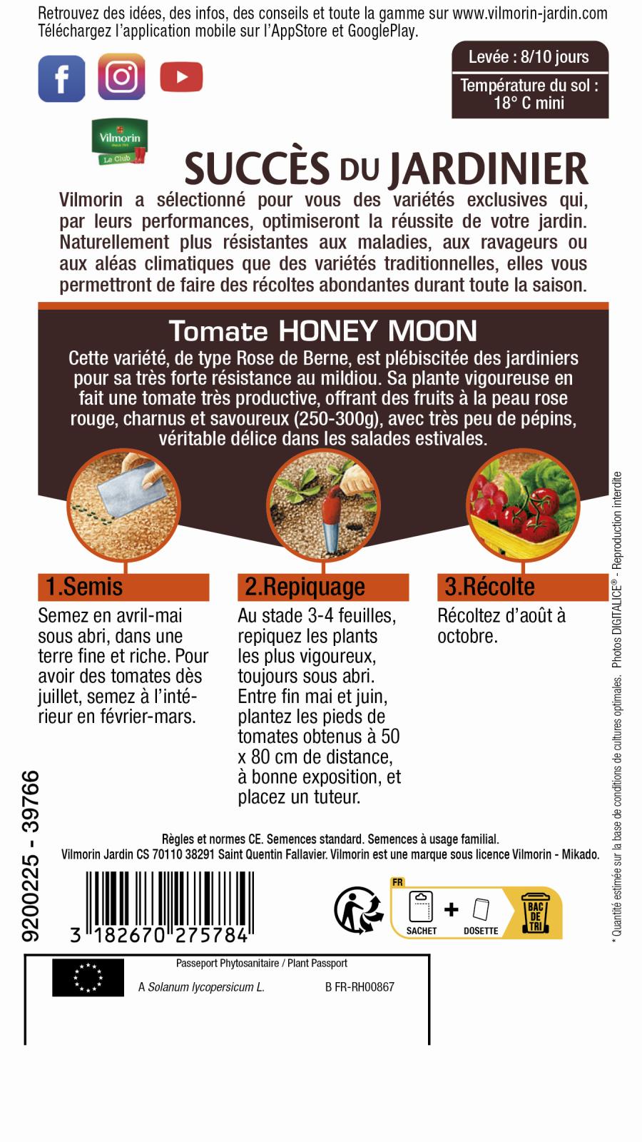honey moon 2
