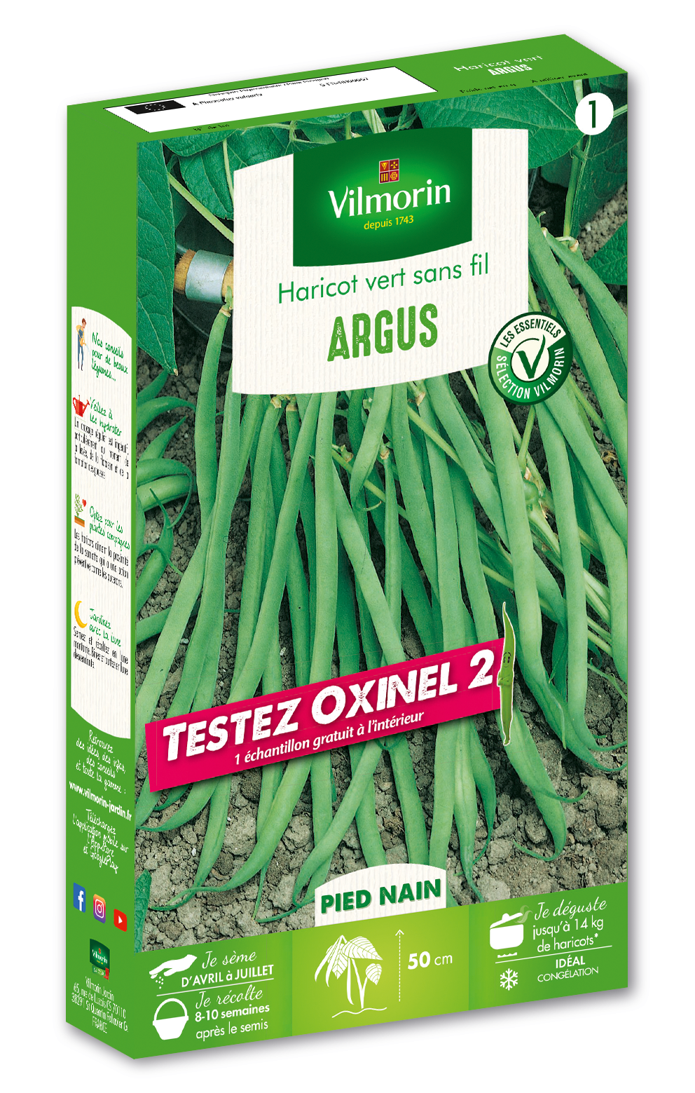 Haricot Nain Vert Argus + Échantillon Oxinel 2