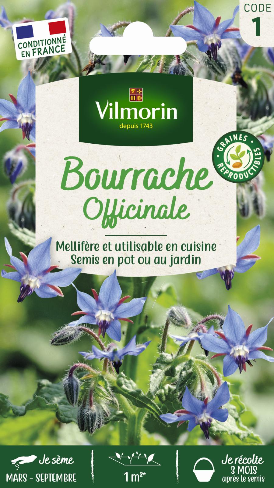 Bourrache Officinale- 1gr