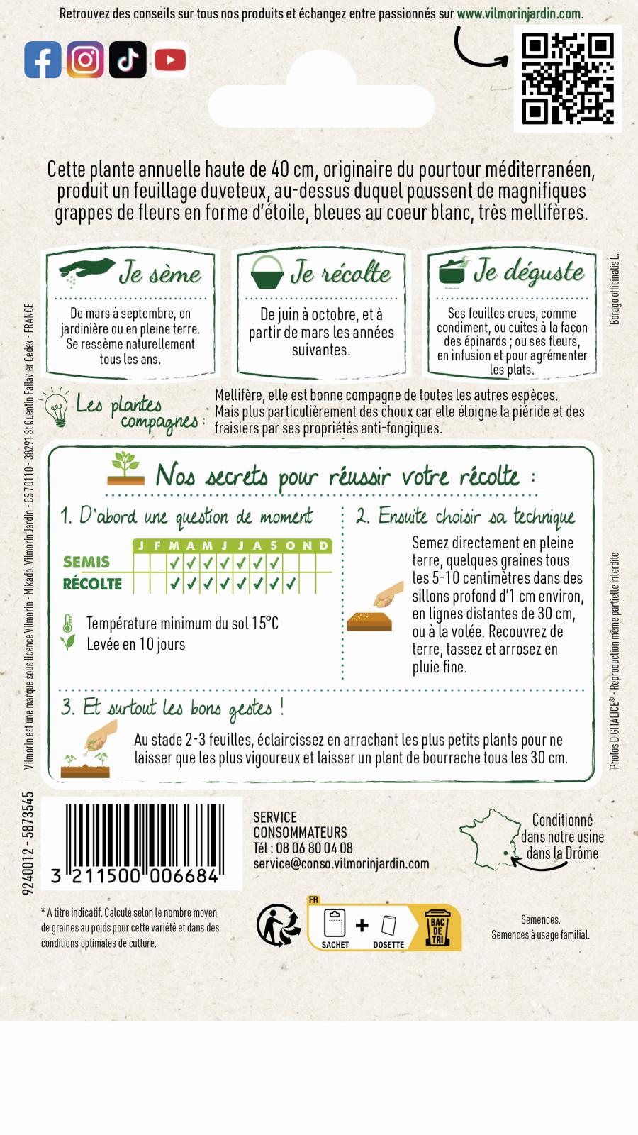 BOURRACHE 2
