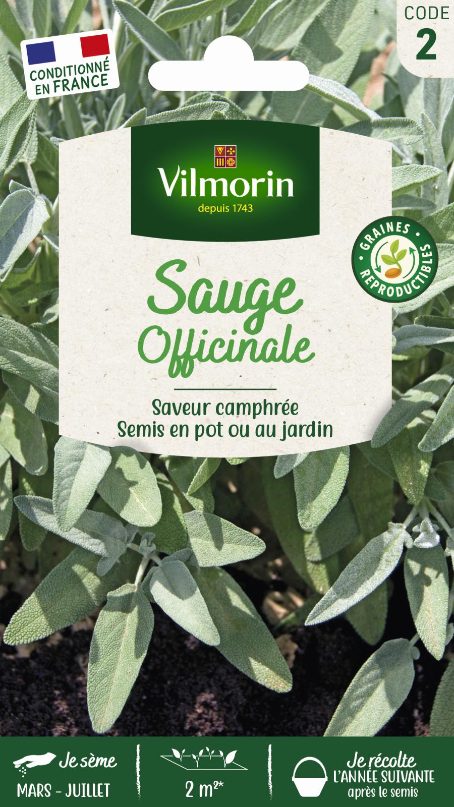 Sauge Officinale - 2gr