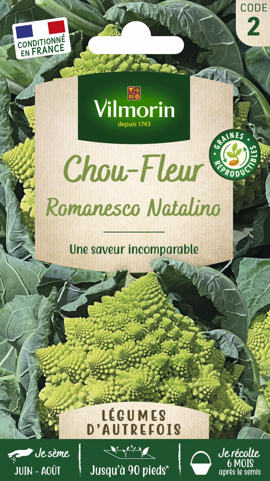 Chou Brocoli Romanesco Précoce - Légumes d\'Autrefois - 2gr