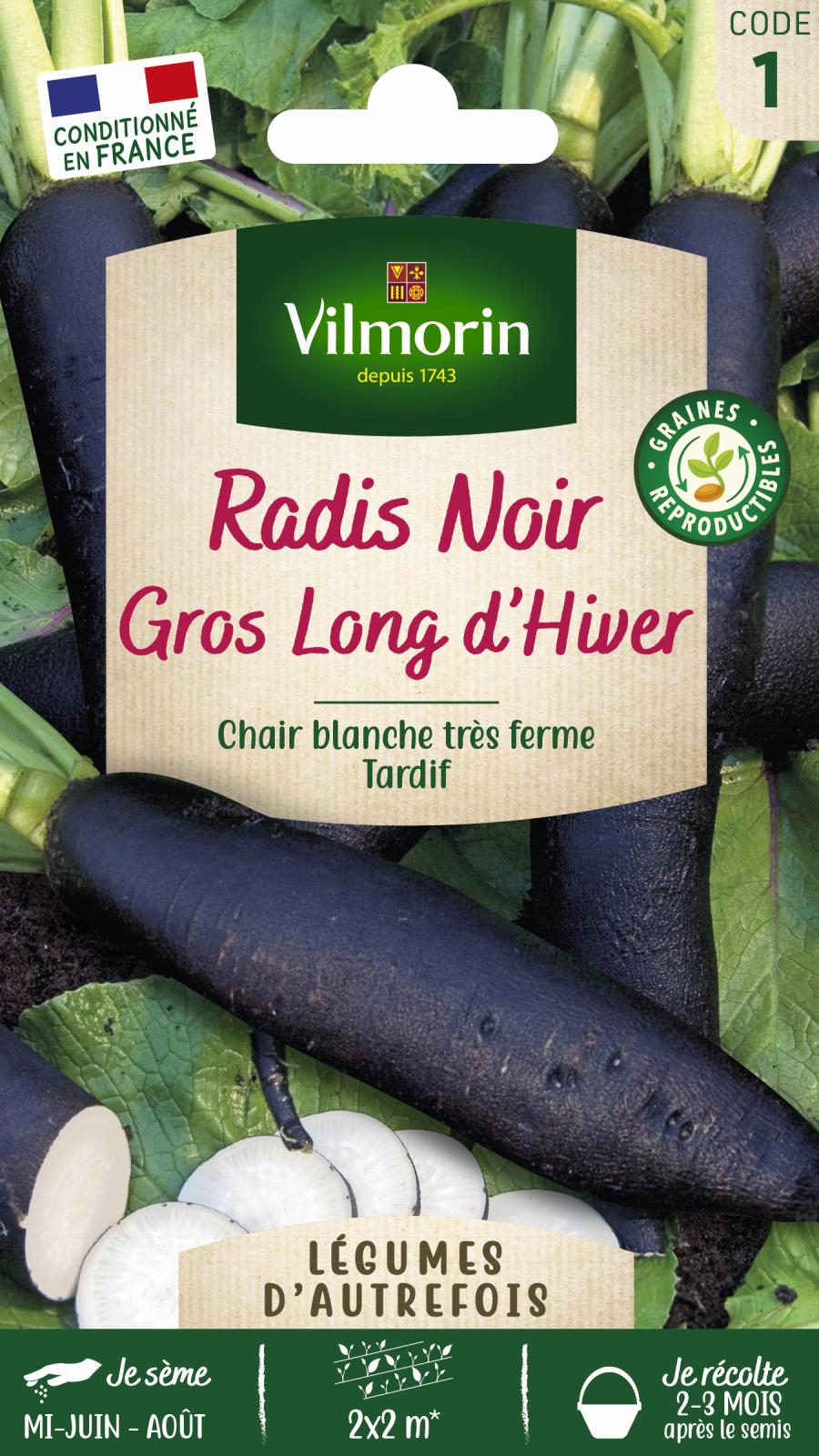 Radis Noir Long d\'Hiver - Légumes d\'Autrefois - 6gr