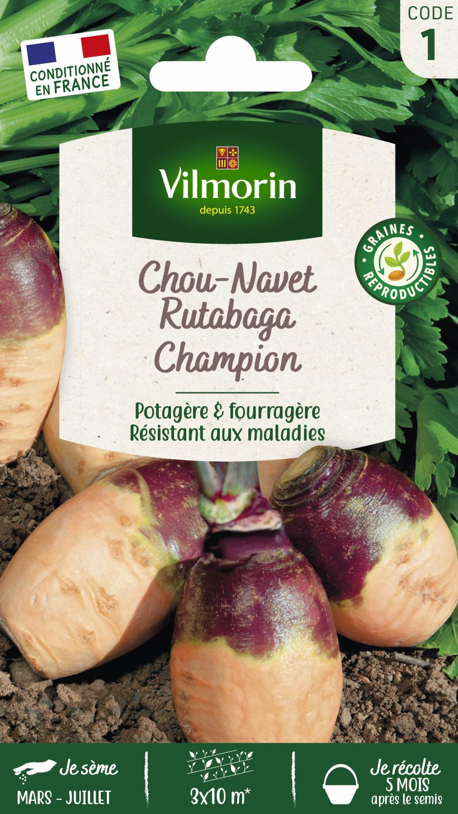 Rutabaga Champion (à Collet Rouge) - Légumes d\'Autrefois - 10gr