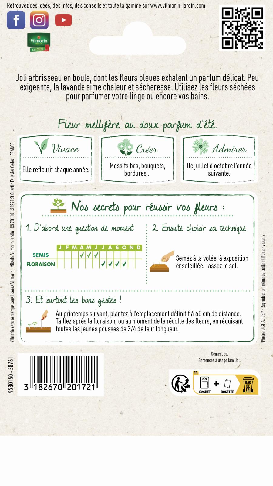 lavande 2