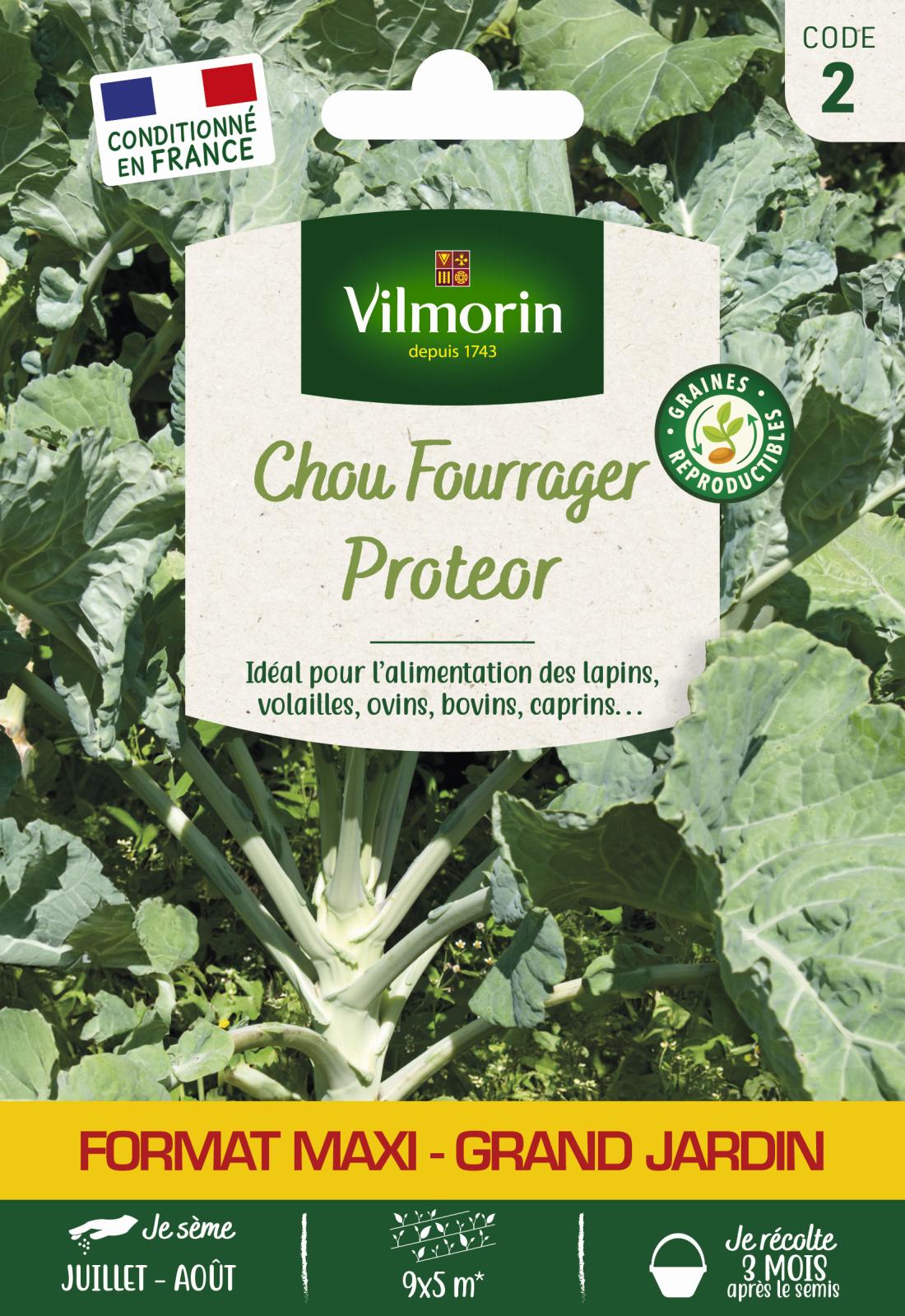 Chou Fourrager Protéor - 25gr