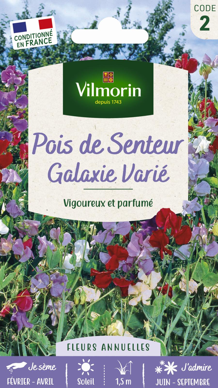 Pois de Senteur Galaxie Varié - 25gr