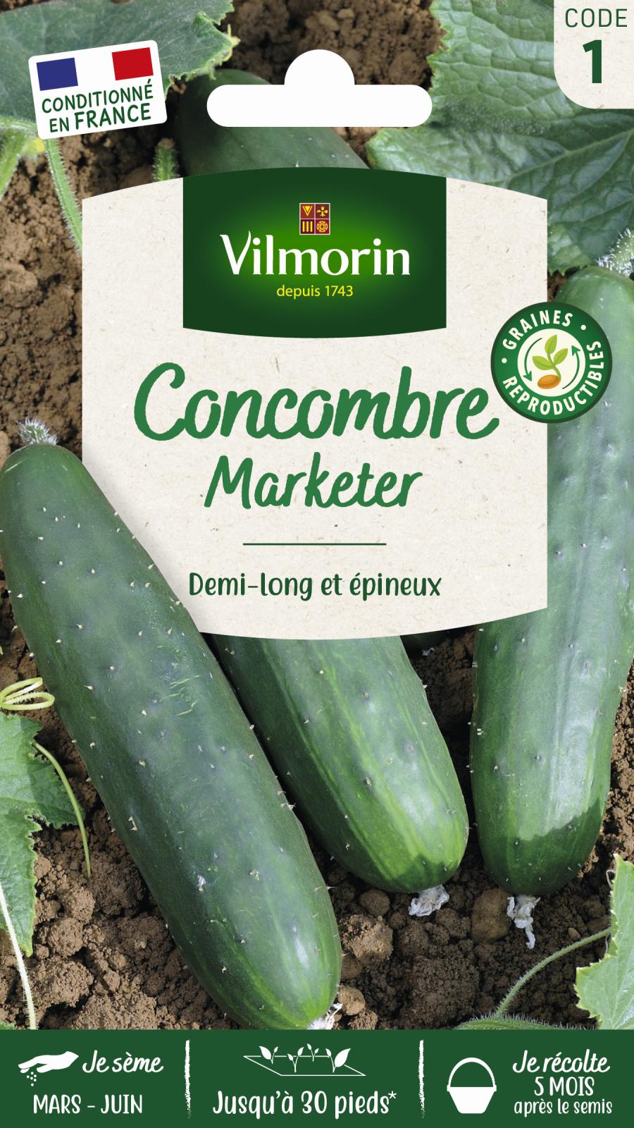 Concombre Marketer - 3gr