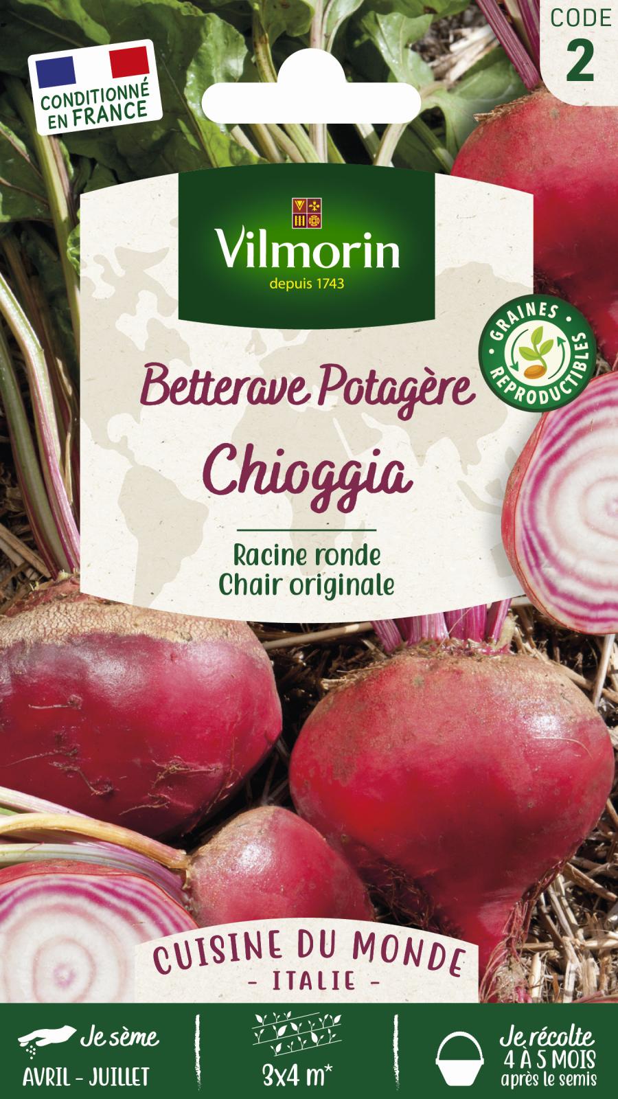 Betterave Potagère Chioggia - Cuisine du Monde - 6gr