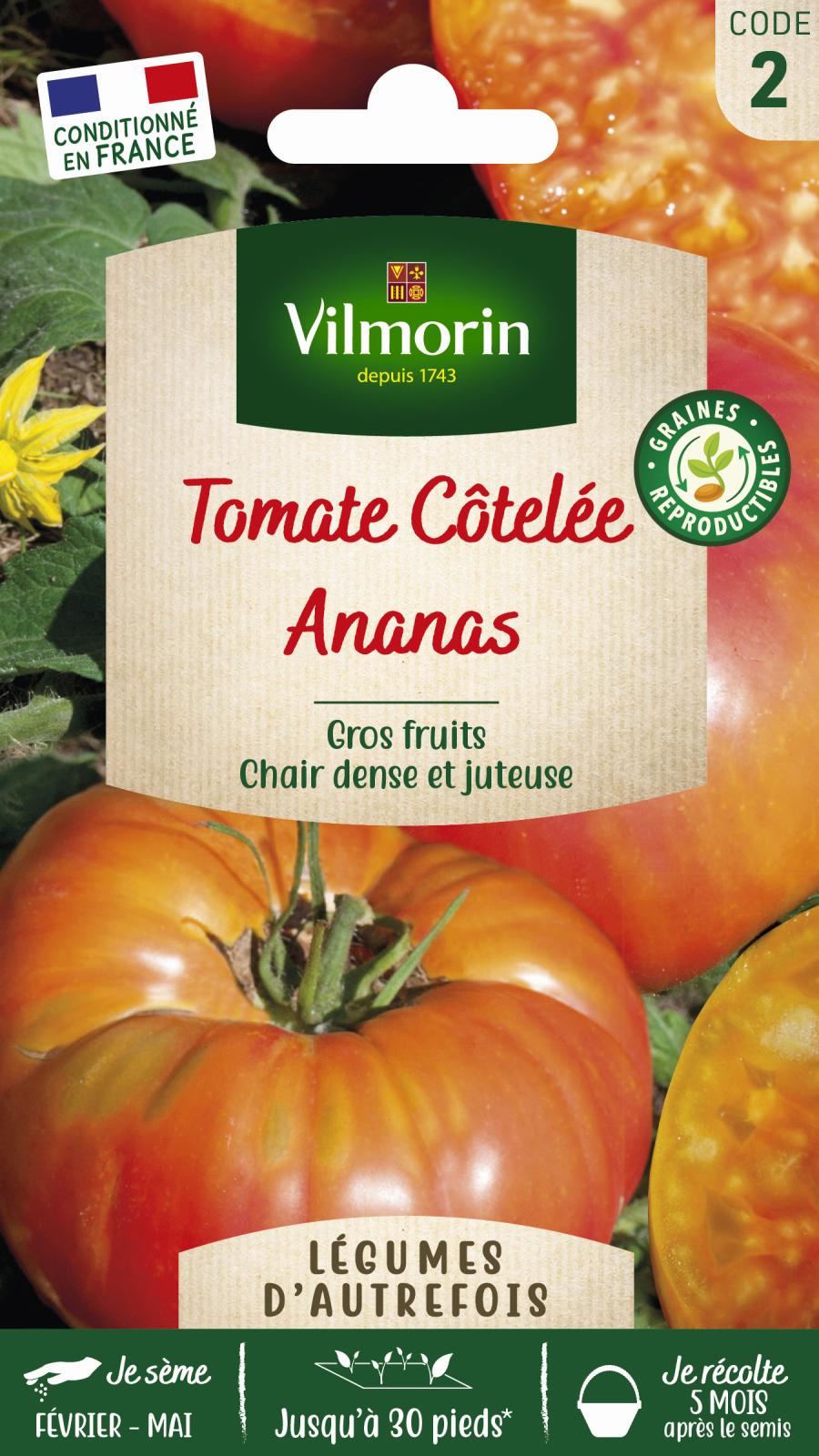 Tomate Ananas - Légumes d\'Autrefois - 0,2gr