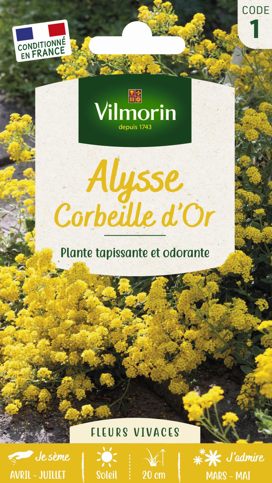Alysse Corbeille d\'Or  - 0.8gr