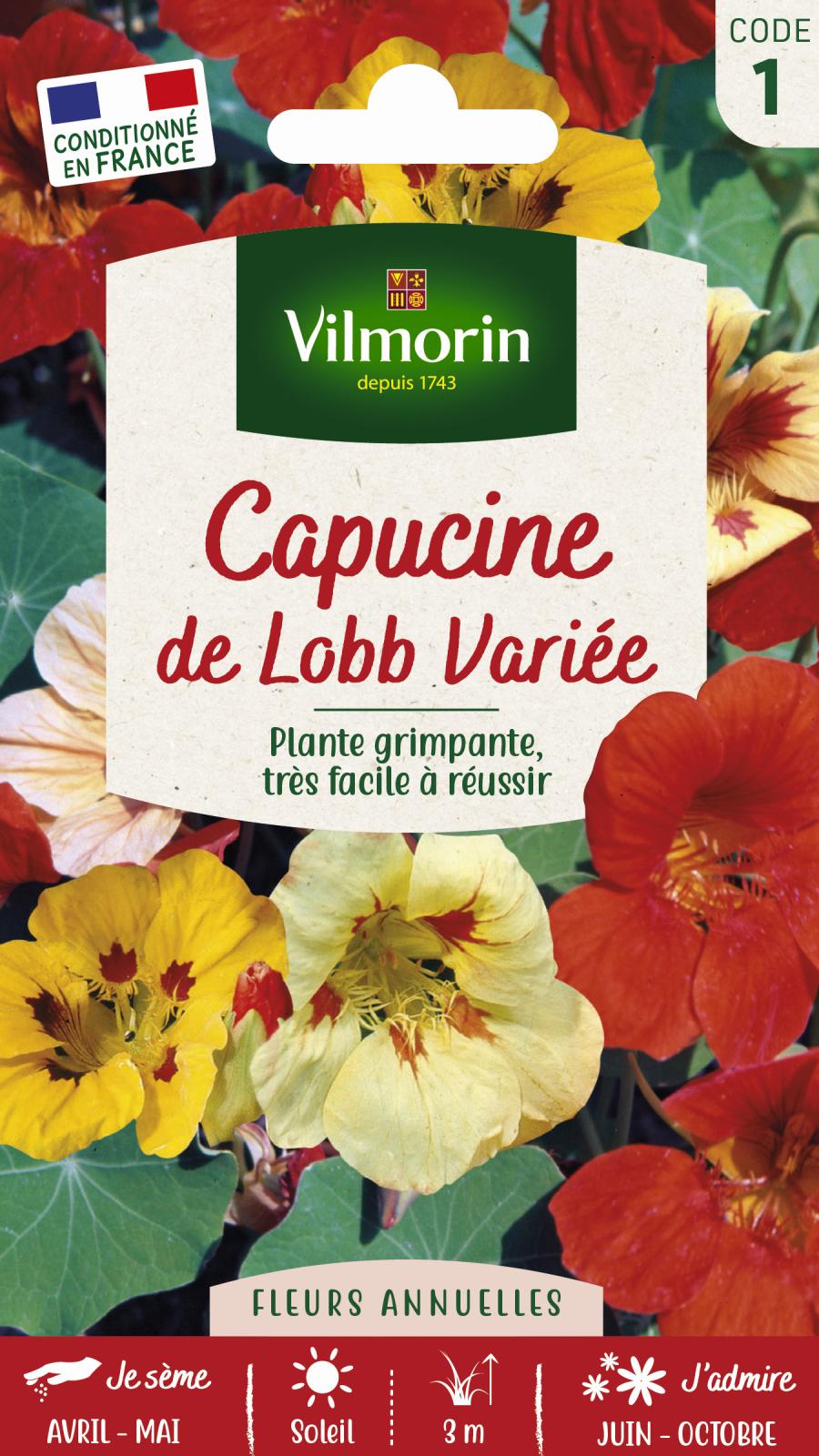 Capucine de Lobb Variée - 5gr