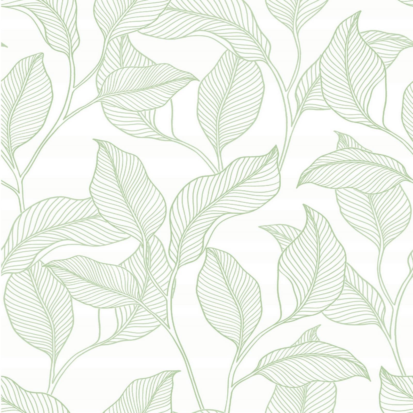 Papier peint expansé sur intissé Nardy vert