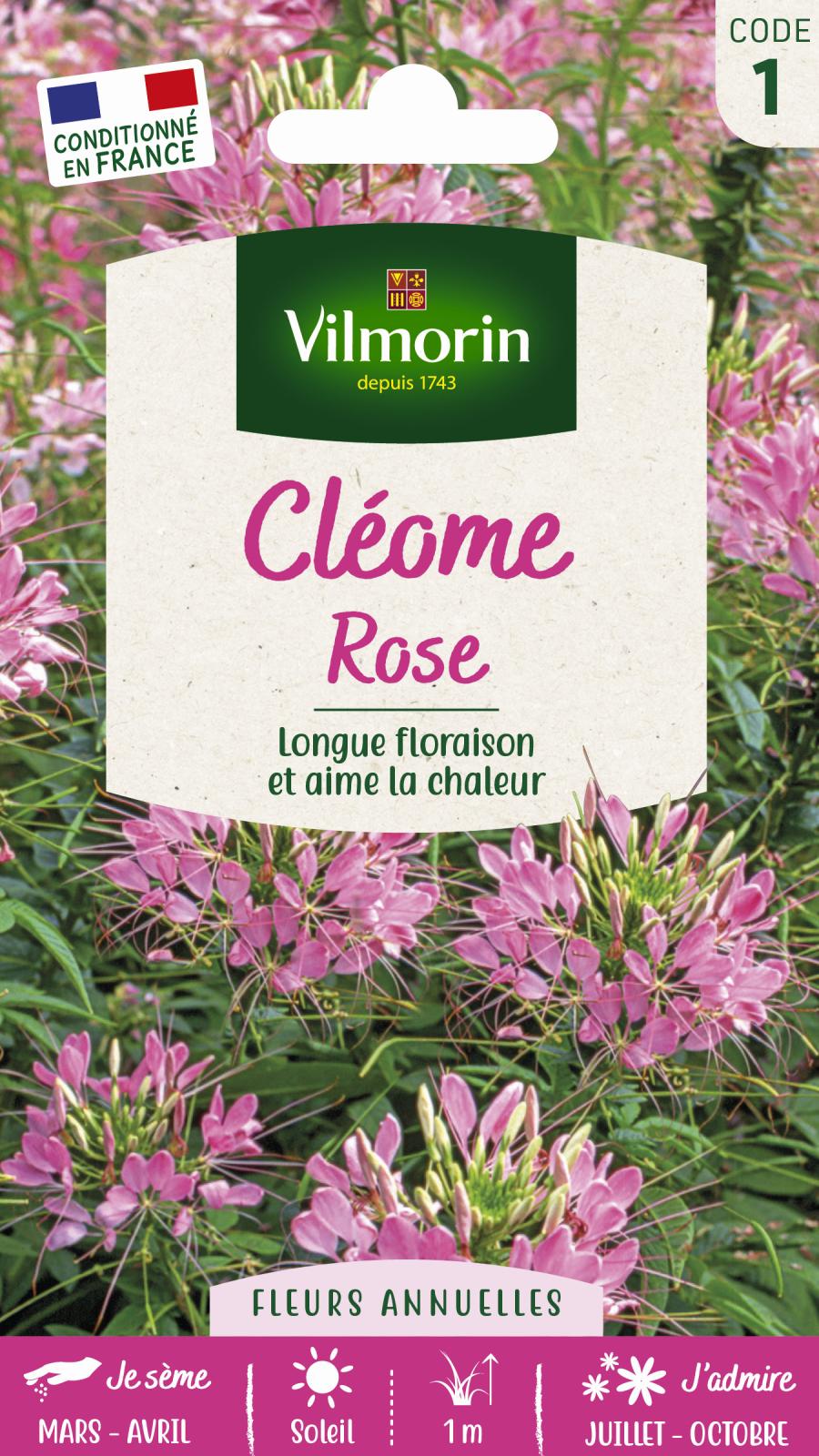 Cléome Rose - 2gr