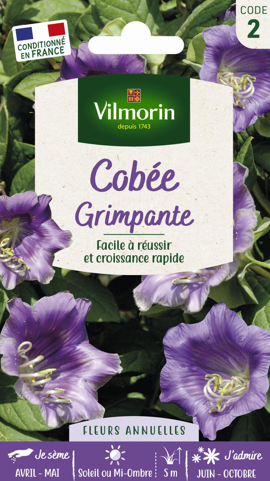 Cobée Grimpante Bleue - 1.5gr