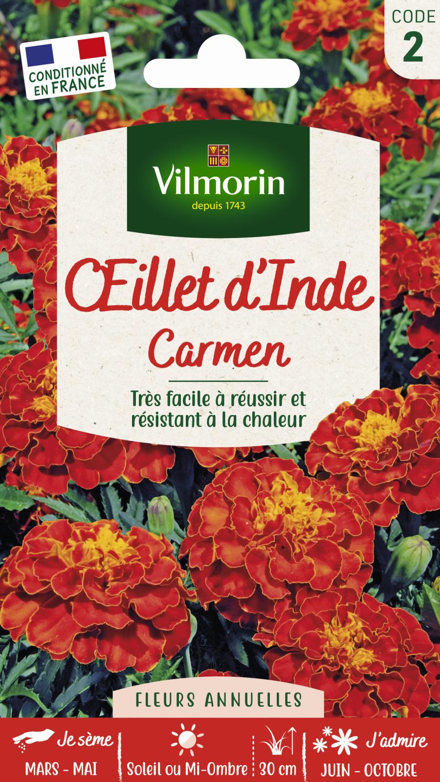 Œillet d\'Inde Carmen - 1gr