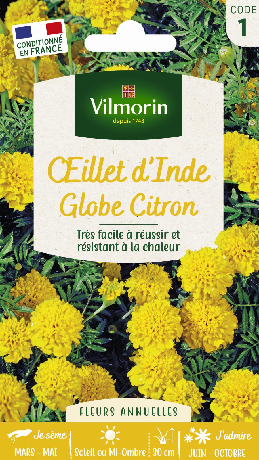 Œillet d\'Inde Globe Citron - 1gr