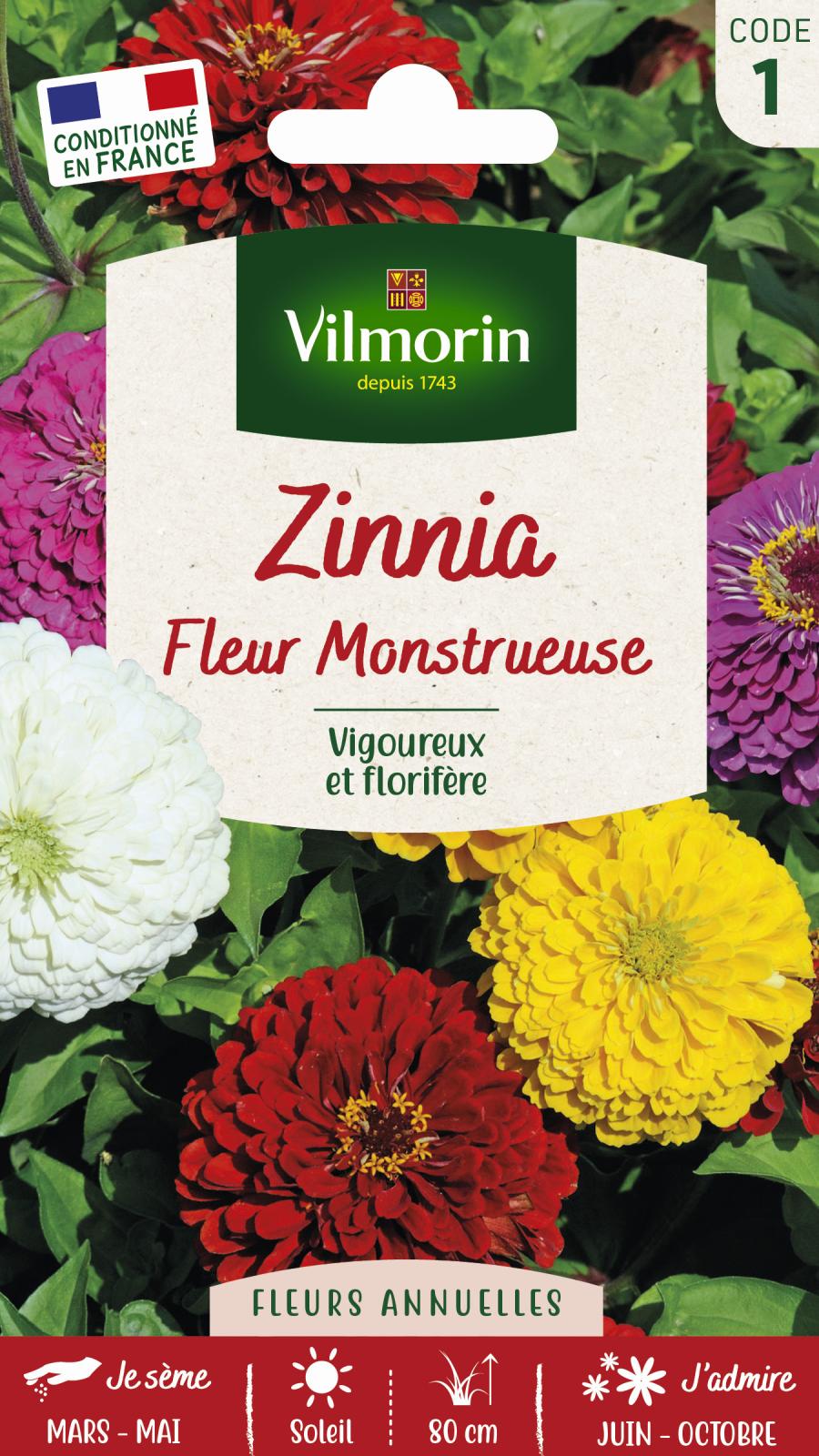 Zinnia à Fleur Monstrueuse - 2gr