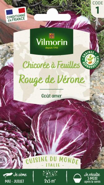 Chicorée à Feuilles Rouge de Vérone - 4gr