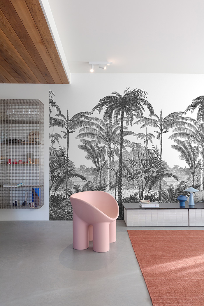 Papier peint intissé panoramique - Palm Scenery