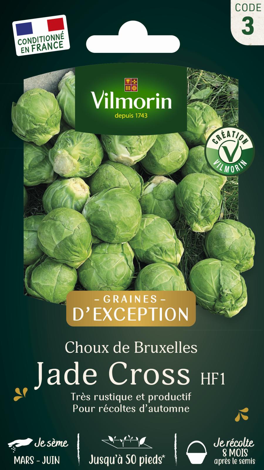 Chou de Bruxelles Jade Cross - Graines d\'Exception - 0.8gr