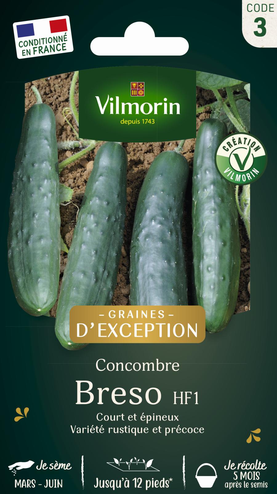 Concombre Breso - Graines d\'Exception - 1gr