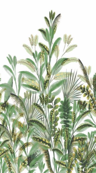 Vegetal Sobre 1
