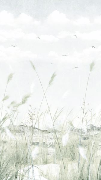 North Sea