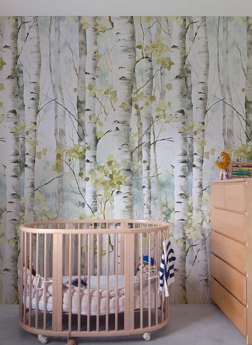 Papier peint intissé panoramique - Betula