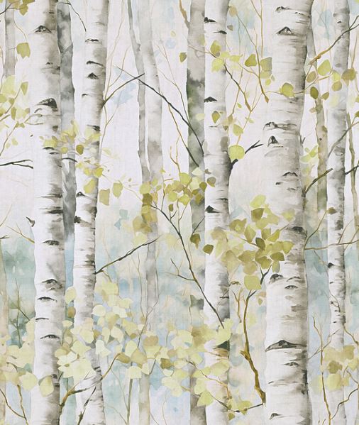 Betula