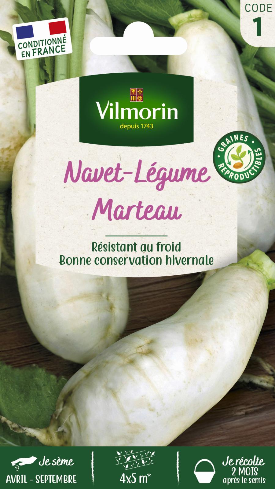 Navet-Légume des Vertus Marteau - 4gr